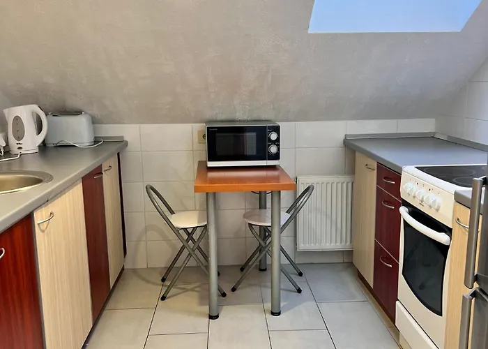 Daire Private Parking And Kitchen Klaipėda